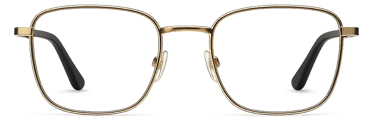 Elegancia de anteojos